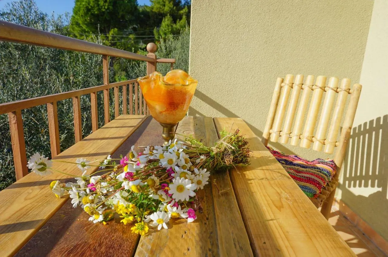 Anio Residence - Rustic Modern With Sea And Mountain View Terrace Svoronata
